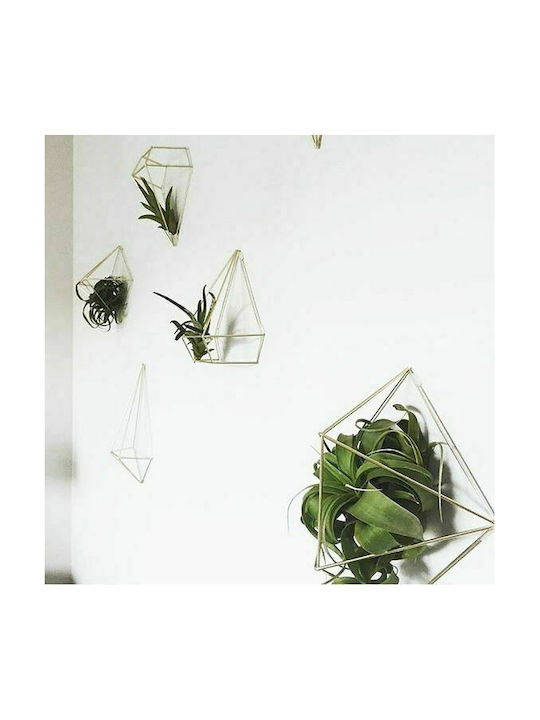 Umbra 3D Wall Decor Geometric Shapes Gold Made of Metal 6 Pieces