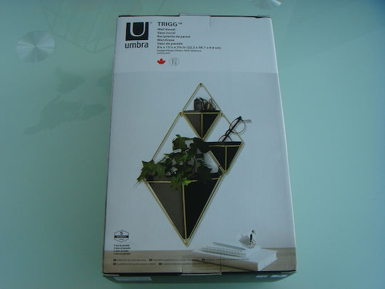 Umbra Trigg Саксия За Цветя Керамична Черна 22x10x39см