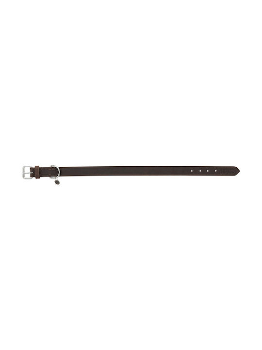 Trixie Rustic Guler Pentru Câini Din Piele Maro Mărime Mare / Medie 25mm x 42 - 48cm Trixie Rustic Guler Pentru Câini Din Piele Maro Mărime Mare / Medie 25mm x 42 - 48cm