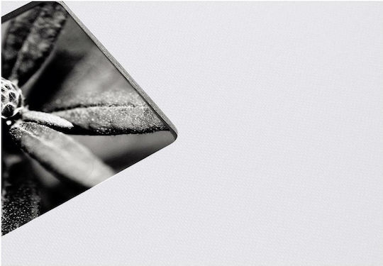 HAMA Album Fine Art 50 Pages Grey 24x17cm
