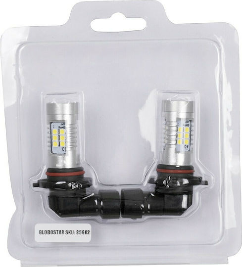 GloboStar Glühbirnen Auto H10 Canbus LED 6000K Kaltes Weiß 12V 80W 2Stück