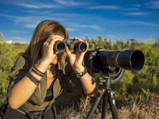 Olympus Binoculars 8x40mm