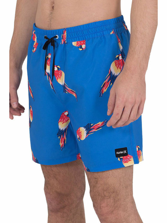 Windansea Volley 17 Men's Swimwear Shorts Blue with Prints