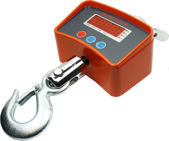 Factory Electronic Professional Hanging Scale with Weighing Capacity of 500kg and Division 200gr