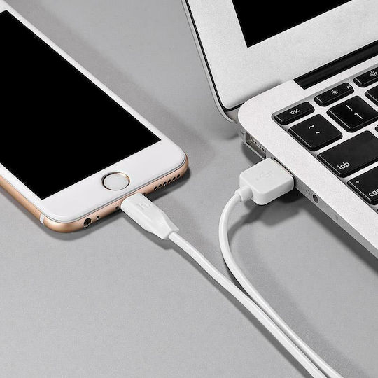 Hoco Regular USB to Lightning Cable Λευκό 3m (X1)