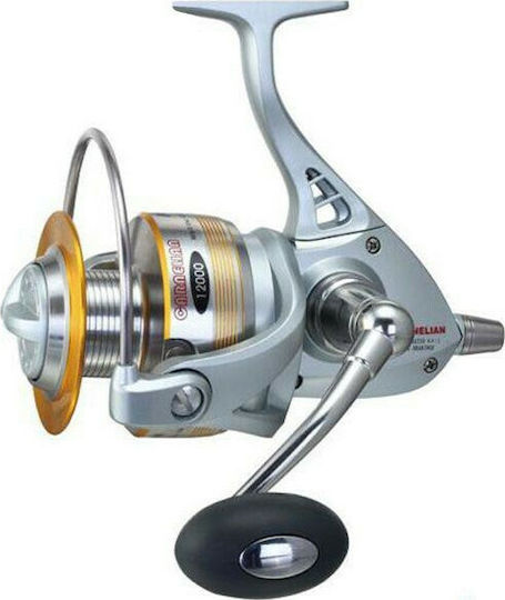 Ryobi Carnelian Fischrolle für Schwere Guss / Jigging / Trolling
