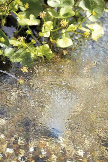 Oase Aquaoxy 250 Αεραντλία Ενυδρείου Μονής Εξόδου με Μέγιστη Ρυθμιζόμενη Ταχύτητα Ροής 250lt/h