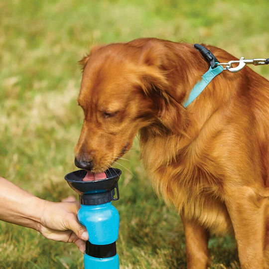 Doglemi Πλαστικό Μπουκάλι Νερού για Σκύλο & Γάτα 500ml 15cm σε Μπλε Χρώμα