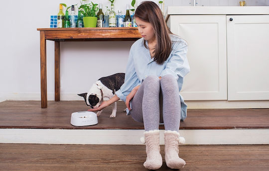 Petkit Μπολ Φαγητού για Σκύλο & Γάτα από ABS Πλαστικό 450ml 18x18x6εκ. με Ζυγαριά