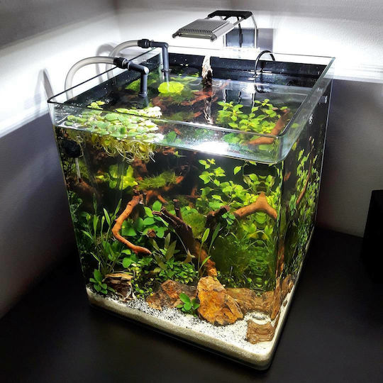 Dennerle Nano Cube Fish Aquarium Capacity 20lt with 25x25x30cm
