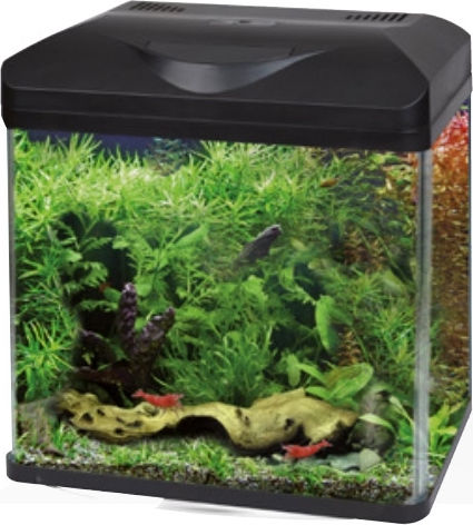 Croci Amtra Laguna 40 LED Ενυδρείο Ψαριών Χωρητικότητας 30lt με Φωτισμό, 38x26x41.5εκ. Μαύρο