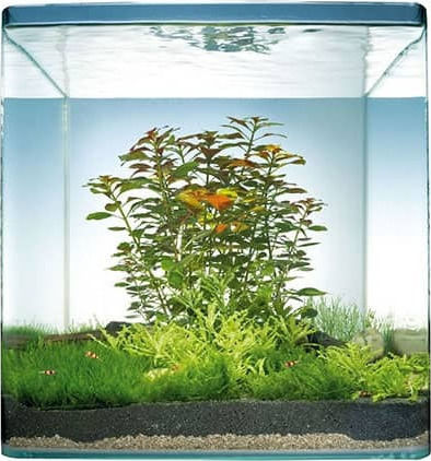 Dennerle Nano Cube Complete Fish Aquarium Capacity 10lt with 25x25x30cm White