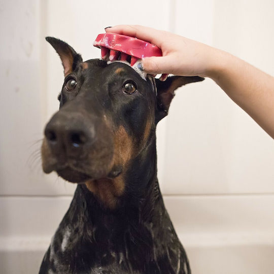 Kong Zoom Groom Comb for Misc Hair Lengths for Coat Cleaning Pink