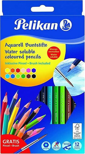 Pelikan Buntstifte Water Solube Coloured Pencils Farbstift-Set Aquarell 12Stück Packung von 1 Verpackungen