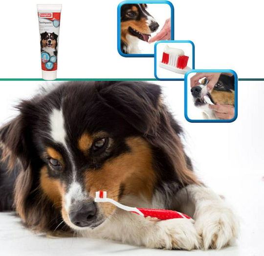 Beaphar Toothbrush for Dogs & Cats against Tartar & Plaque 50gr