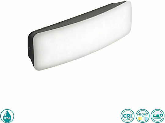 Gea Luce Dagr Επιτοίχια Εξωτερική Πλαφονιέρα LED IP54 7W με Φυσικό Λευκό Φως