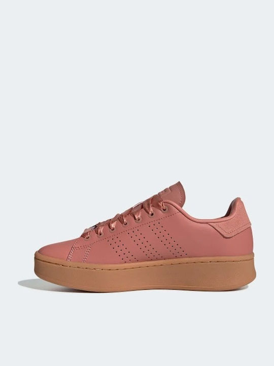 adidas adidas