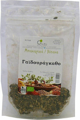 Όλα Bio Thistle Organic Product 50gr ΒΙΟ868