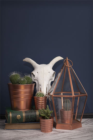 Rust-Oleum Σπρέι Βαφής Metallic Elegant με Μεταλλικό Εφέ Copper 400ml