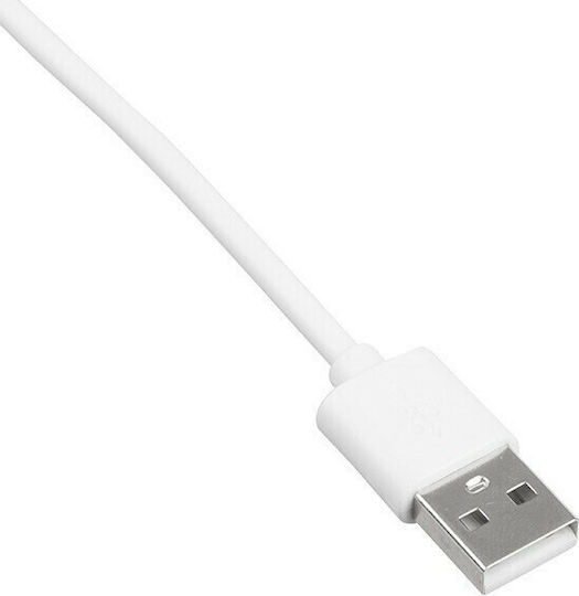 Akyga USB to 30-Pin Cable 1m White (AK-USB-08)