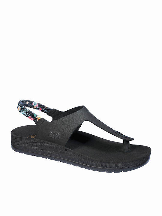 Scholl Scholl
