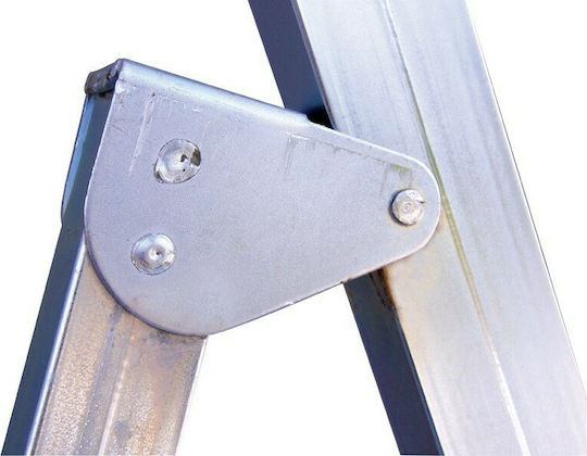 Profal Steel Σκάλα Σιδήρου με 7+1 Σκαλοπάτια 229εκ.