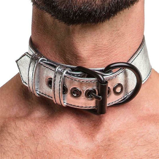 Lovetoy Bondage Fetish Metallic Pup Collar With Leash Κολάρο Silver