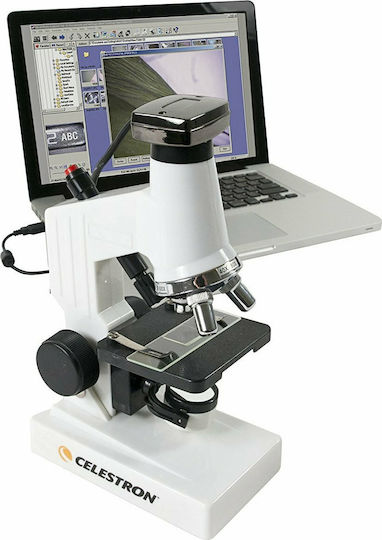 Levenhuk 2ST Stereo Educational Binocular Microscope 40x