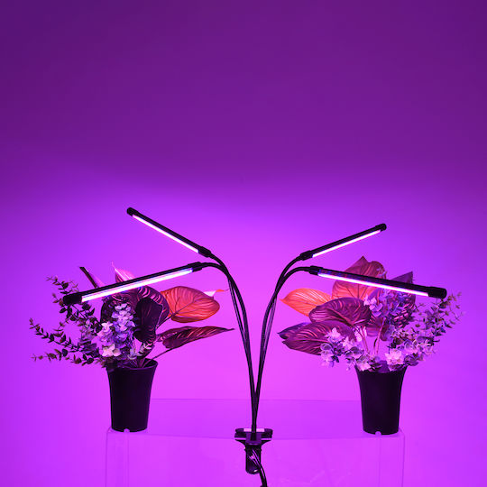 GloboStar Desk Grow Light with LED and Power 80W L100xW100cm.