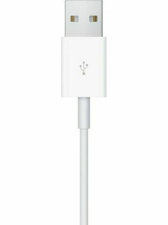 Apple Watch Magnetic Charging Cable 2019 (0.3m)