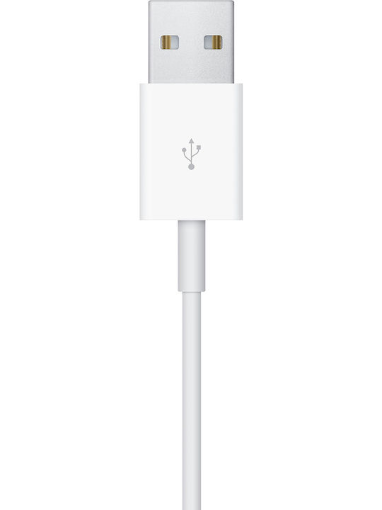 Apple Watch Magnetic Charging Cable 2019 (0.3m)