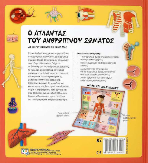 Ο Άτλαντας του Ανθρώπινου Σώματος, Ας Εξερευνήσουμε το Σώμα μας