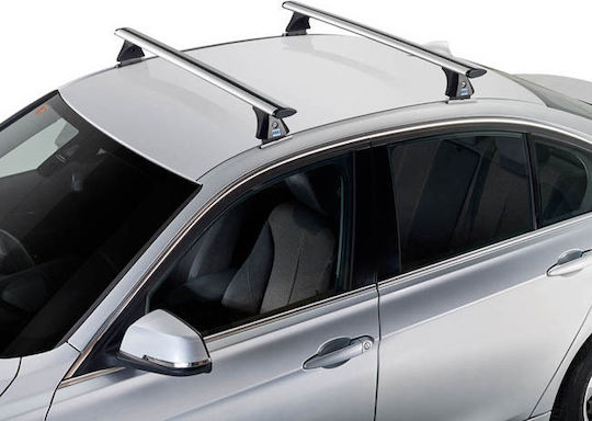 Auto Gs Universell (mit Dachträgerfüßen)