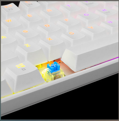 White Shark Shinobi Gaming Mechanische Tastatur 60% mit Outemu Blau Schaltern und RGB-Beleuchtung (Englisch US)