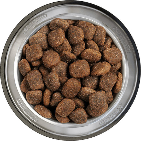 Belcando Adult GF Ocean 12.5kg Ξηρά Τροφή χωρίς Σιτηρά για Ενήλικους Σκύλους με Ψάρια και Σολομό