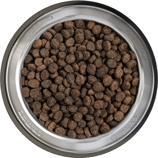 Belcando Finest GF Lamb 4kg Dry Food Grain-Free for Adult Small & Medium Breed Dogs with Lamb