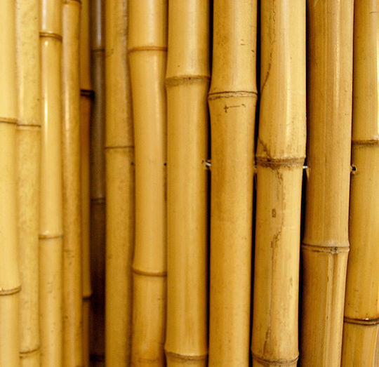 Showood Bamboo Fencing With Whole Reed Bamboo 2.5x3m
