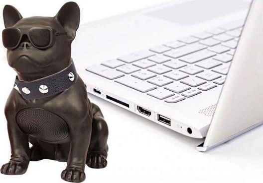 H-M10 Bulldog Head Rotatable Bluetooth Speaker 5W with Radio and Battery Life up to 6 hours Black