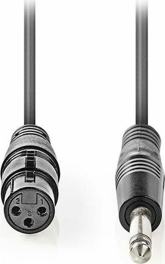 Nedis XLR Cable Female - 6.3mm Male Black 1.5m COTH15120GY15