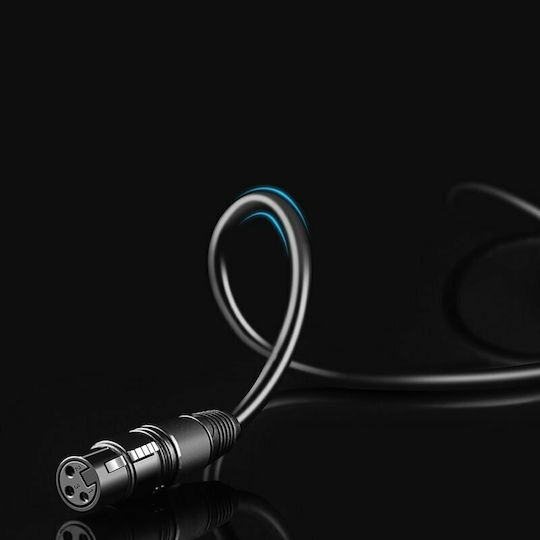 Ugreen AV131 XLR female to 6.3mm male 2m Cable (20719)