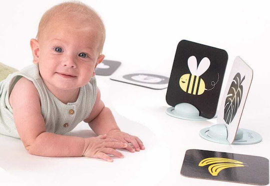 Taf Toys Activity Book My 1st Tummy-Time Cards for 0++ Months