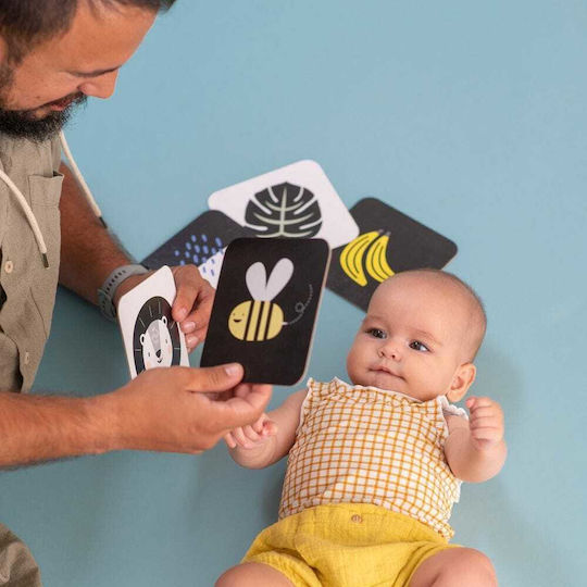 Taf Toys Activity Book My 1st Tummy-Time Cards for 0++ Months