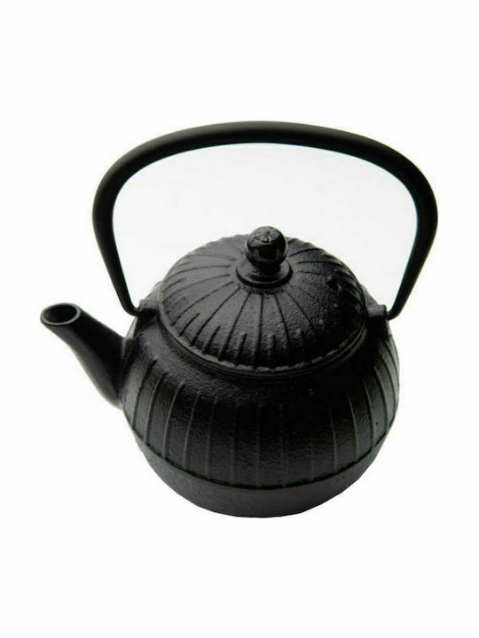 Dinox Teapot with Filter Cast Iron Black 500ml