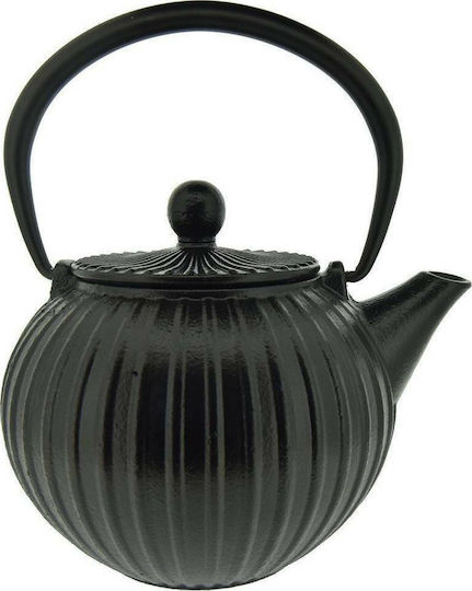 Dinox Teapot with Filter Cast Iron Black 500ml