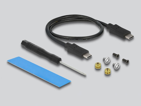 DeLock Твърд диск кутия M.2 PCI Express / SATA III NVMe с връзка Type-C в Черен цвят