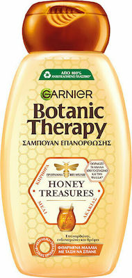 Garnier Botanic Therapy Honey Treasures Haarpflegeset für Haartherapie mit Shampoo 2Stück