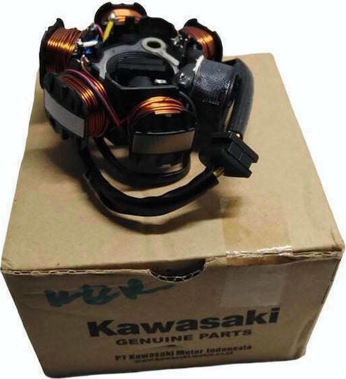 Kawasaki Мотоциклетна Спирала 210031268