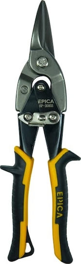 Epica Star Straight Aviaton Snip Length 250mm