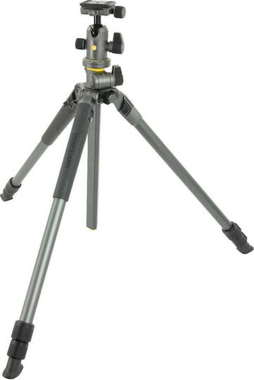 Vanguard Alta Pro 2 + 263AB100 Τρίποδο - Φωτογραφικό Grey