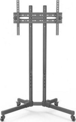 Focus Mount Fixed T176 Fernsehhalterung Boden bis 65" und 40kg